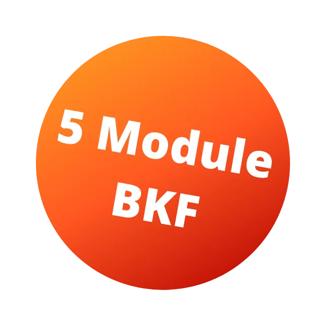 Icon für 5 Module BKF
